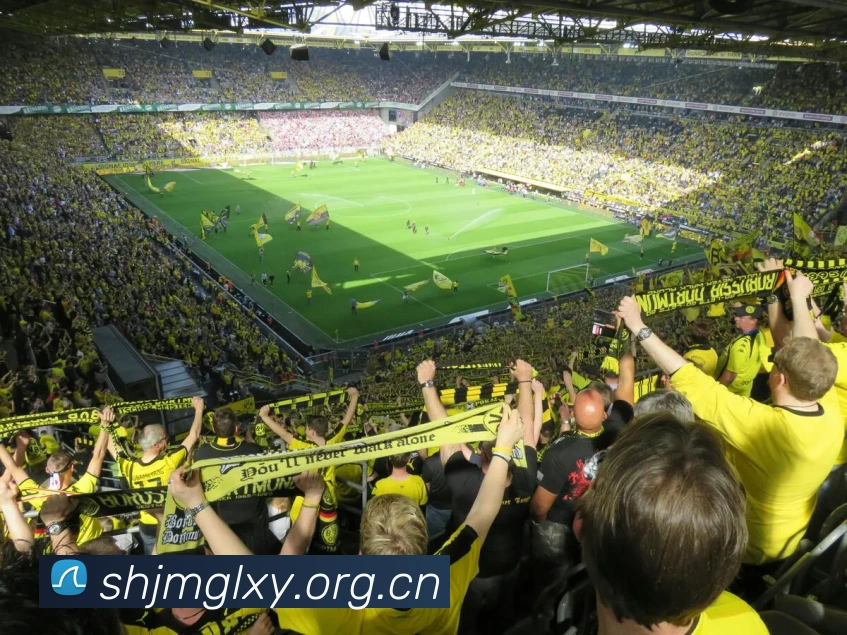 多媒体互动体验