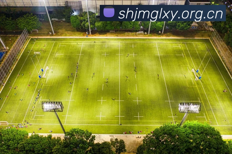 开云官网APP 高清赛事图